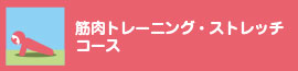 筋肉トレーニング・ストレッチコース